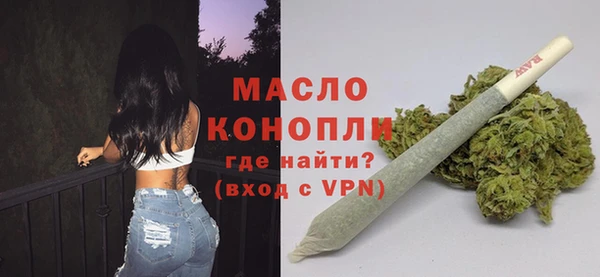 амф Снежногорск