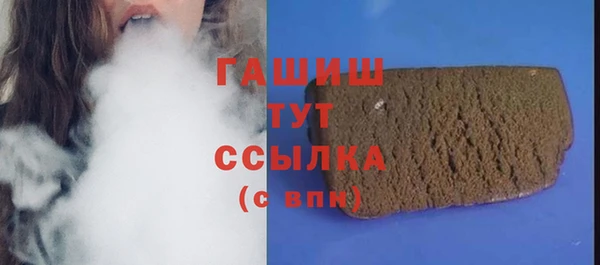 амф Снежногорск