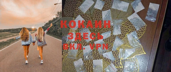 тгк Снежинск