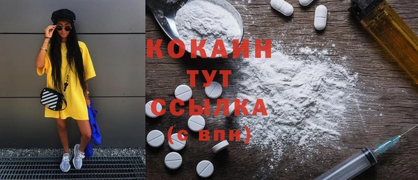 тгк Снежинск