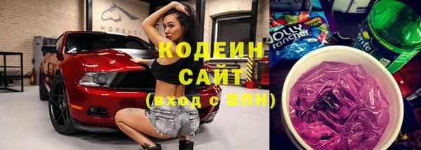 тгк Снежинск
