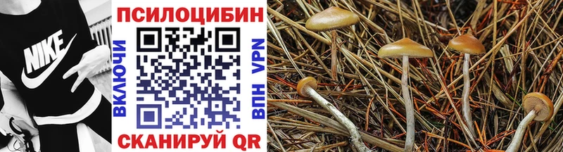 Галлюциногенные грибы GOLDEN TEACHER  Купить где  Холмск 